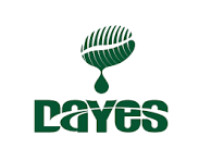 Dayes Coffee Coupons and Promo Code