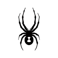 Spyder Coupons and Promo Code