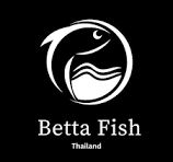Thailand Betta Fish Coupons and Promo Code