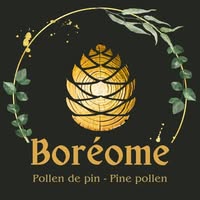 Boreome Coupons and Promo Code
