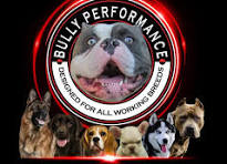 bully performance Coupons and Promo Code