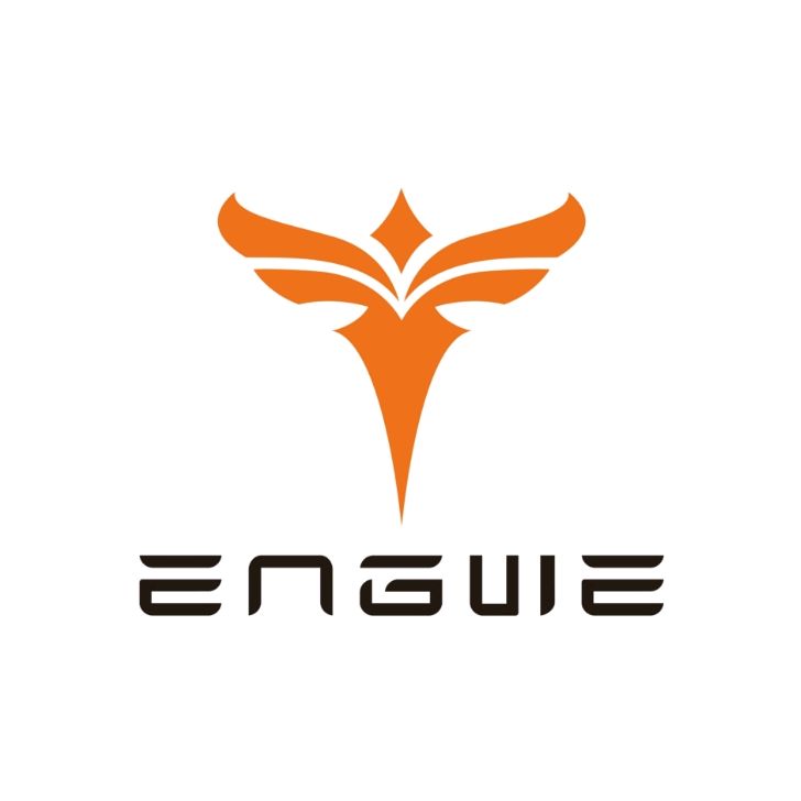 Engwe Bikes UK Coupons and Promo Code