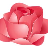 K-Skincare.nl Coupons and Promo Code