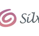 Silverette Usa Coupons and Promo Code