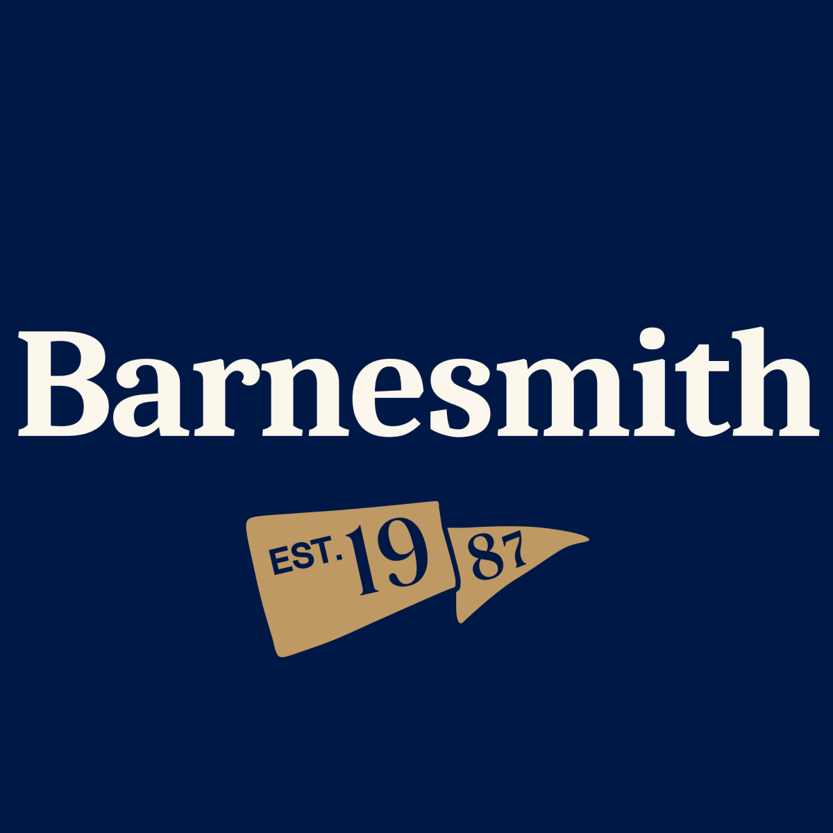 Barnesmith Coupons and Promo Code