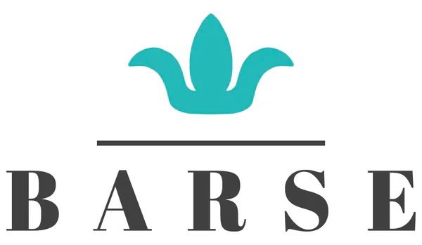 Barse Jewelry Coupons and Promo Code