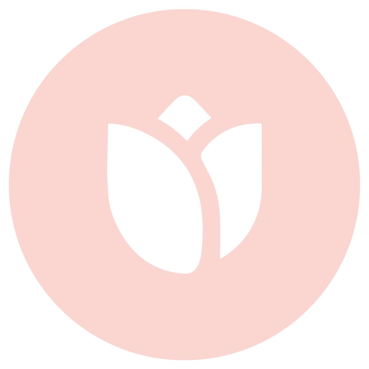 Bloomeroo Coupons and Promo Code