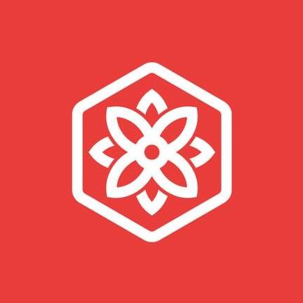 BloomsyBox Coupons and Promo Code