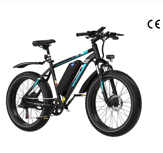 Best Online Bike Stores Review: Savadeck, Velotric & Hitway