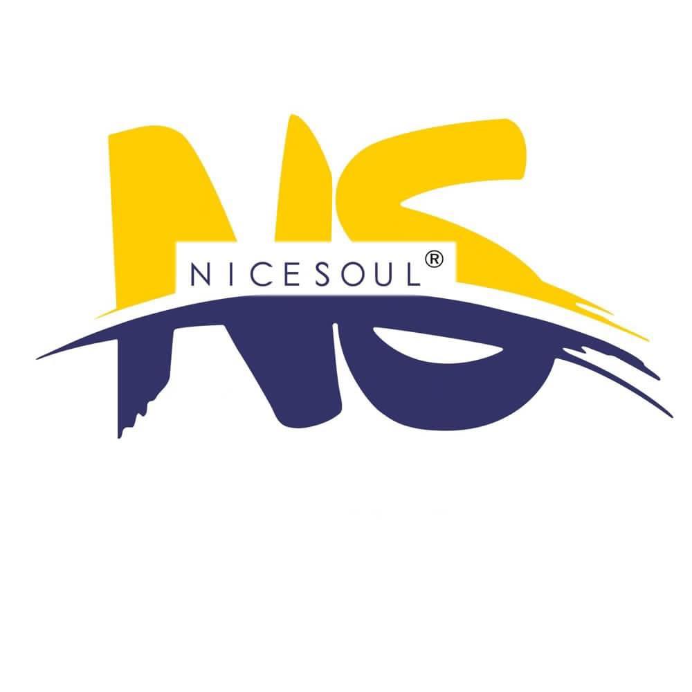 Nicesoul Furniture Coupons and Promo Code