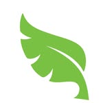 forest leaf Coupons and Promo Code